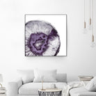 Plum Agate B by THE Studio on GIANT ART - white abstract