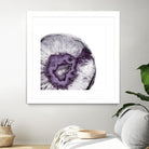 Plum Agate B by THE Studio on GIANT ART - white abstract