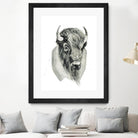 Bison Bust by Brenna Harvey on GIANT ART - white vintage bison
