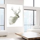 Buck Bust by Brenna Harvey on GIANT ART - grey vintage