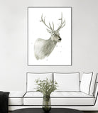 Buck Bust by Brenna Harvey on GIANT ART - grey vintage