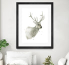 Buck Bust by Brenna Harvey on GIANT ART - white vintage deer