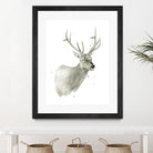 Buck Bust by Brenna Harvey on GIANT ART - white vintage deer