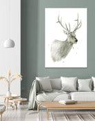 Buck Bust by Brenna Harvey on GIANT ART - white vintage deer