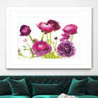 Spring Ranunculus III by Laura Marshall on GIANT ART - green floral