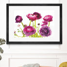 Spring Ranunculus III by Laura Marshall on GIANT ART - green floral