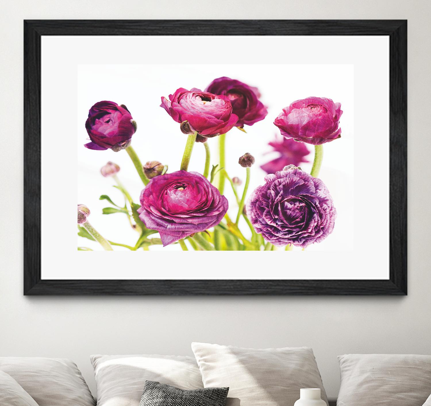 Spring Ranunculus III by Laura Marshall on GIANT ART - green floral