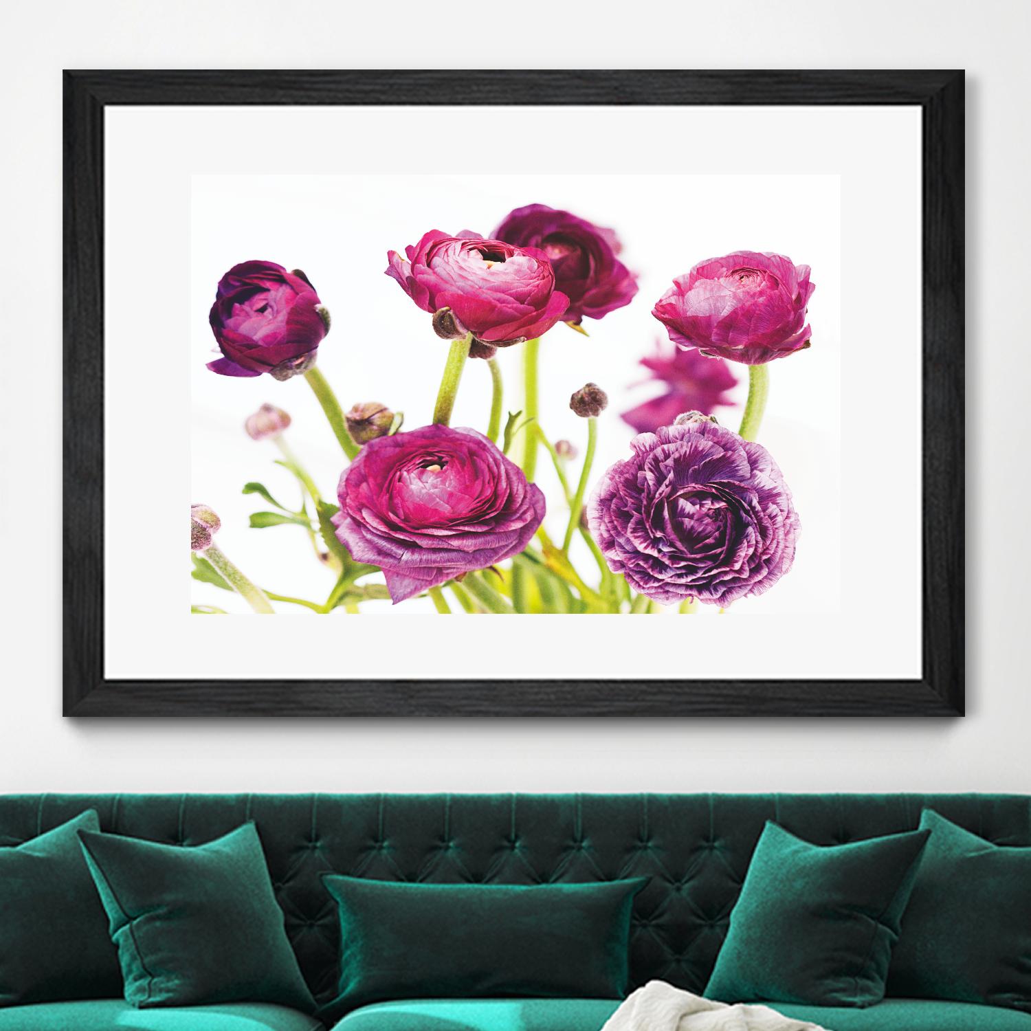 Spring Ranunculus III by Laura Marshall on GIANT ART - green floral