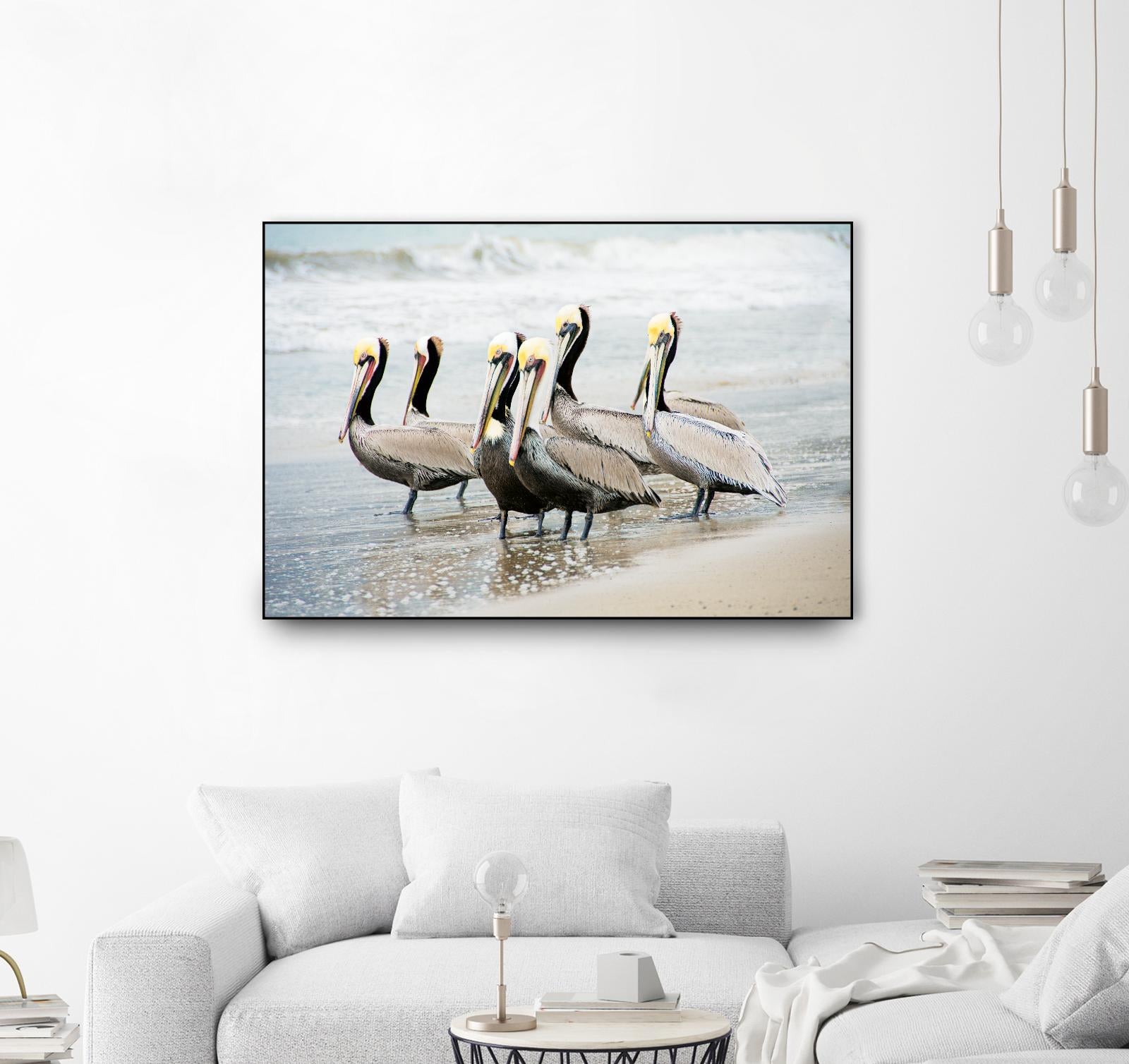 Pacific Cool IV Crop by Elizabeth Urquhart on GIANT ART - grey animals