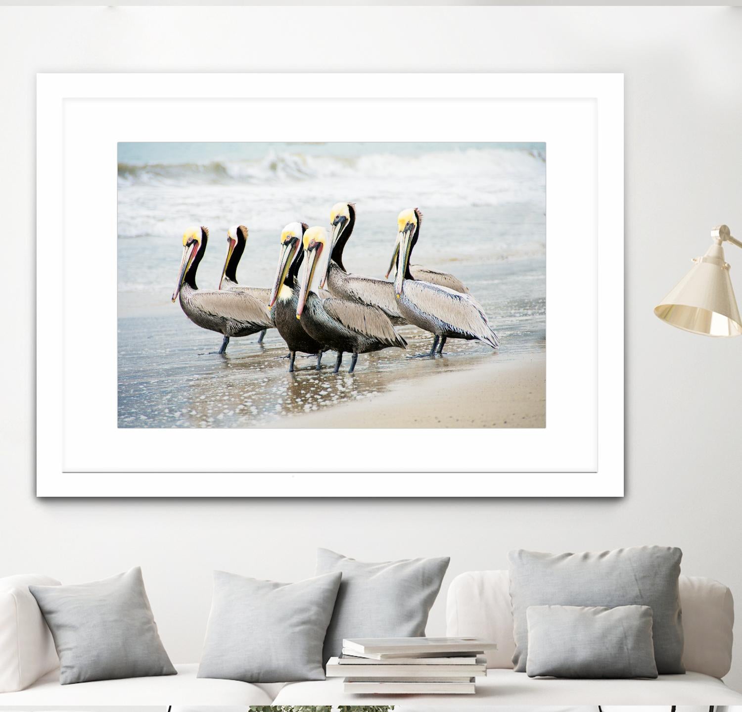 Pacific Cool IV Crop by Elizabeth Urquhart on GIANT ART - grey animals