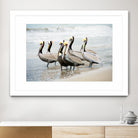 Pacific Cool IV Crop by Elizabeth Urquhart on GIANT ART - grey animals