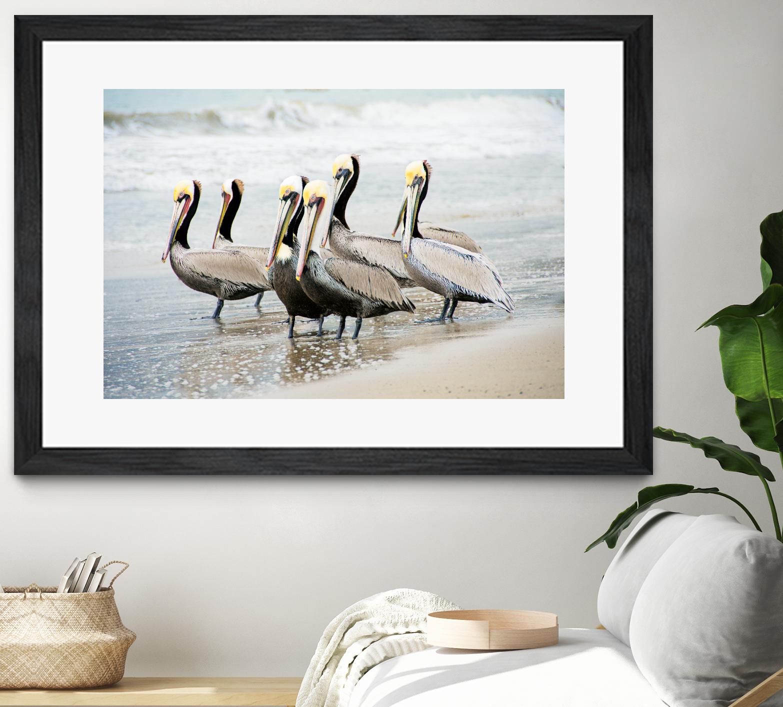 Pacific Cool IV Crop by Elizabeth Urquhart on GIANT ART - grey animals