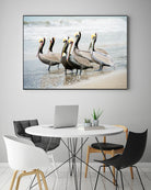 Pacific Cool IV Crop by Elizabeth Urquhart on GIANT ART - grey animals