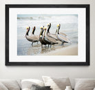 Pacific Cool IV Crop by Elizabeth Urquhart on GIANT ART - grey animals