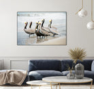 Pacific Cool IV Crop by Elizabeth Urquhart on GIANT ART - grey animals