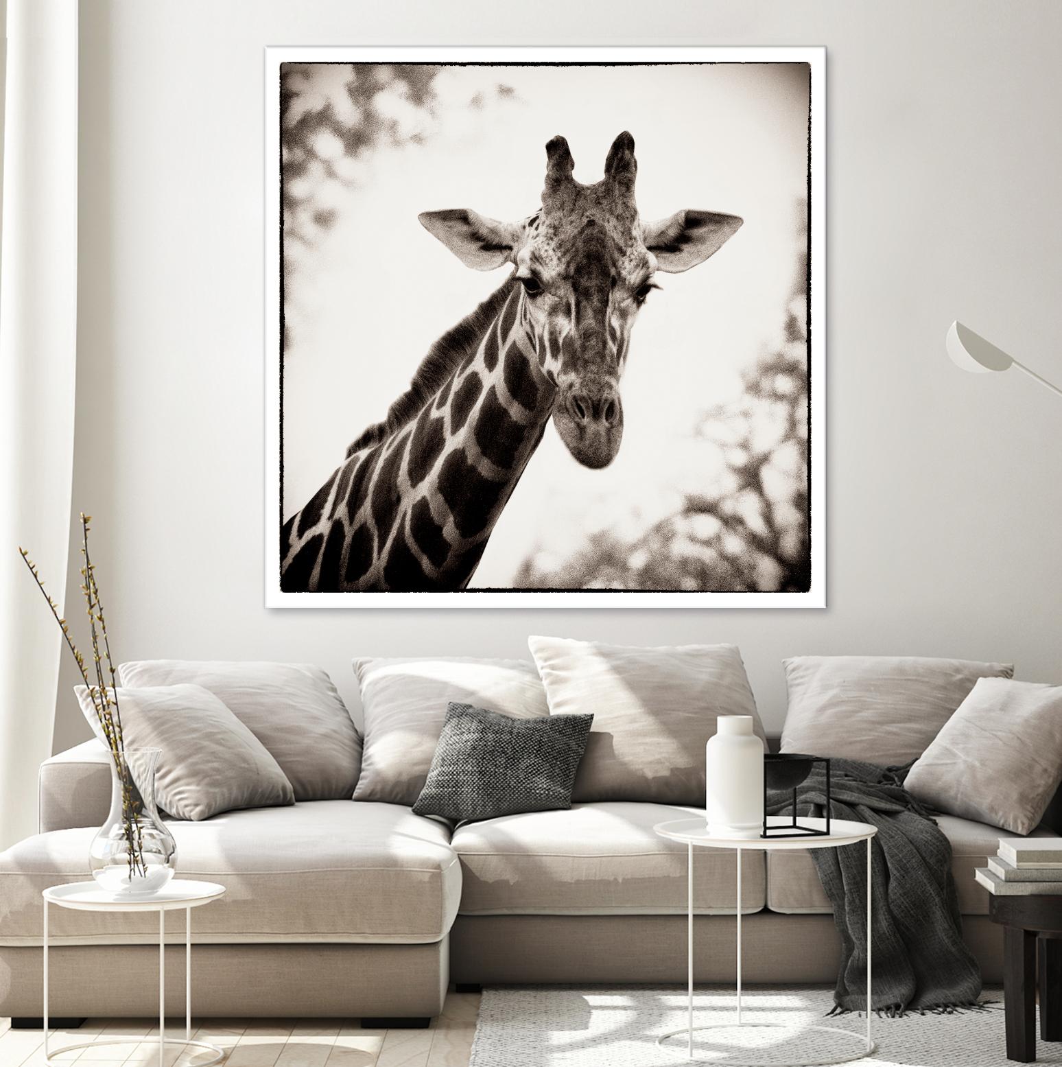 Giraffe I by Debra Van Swearingen on GIANT ART - grey animals