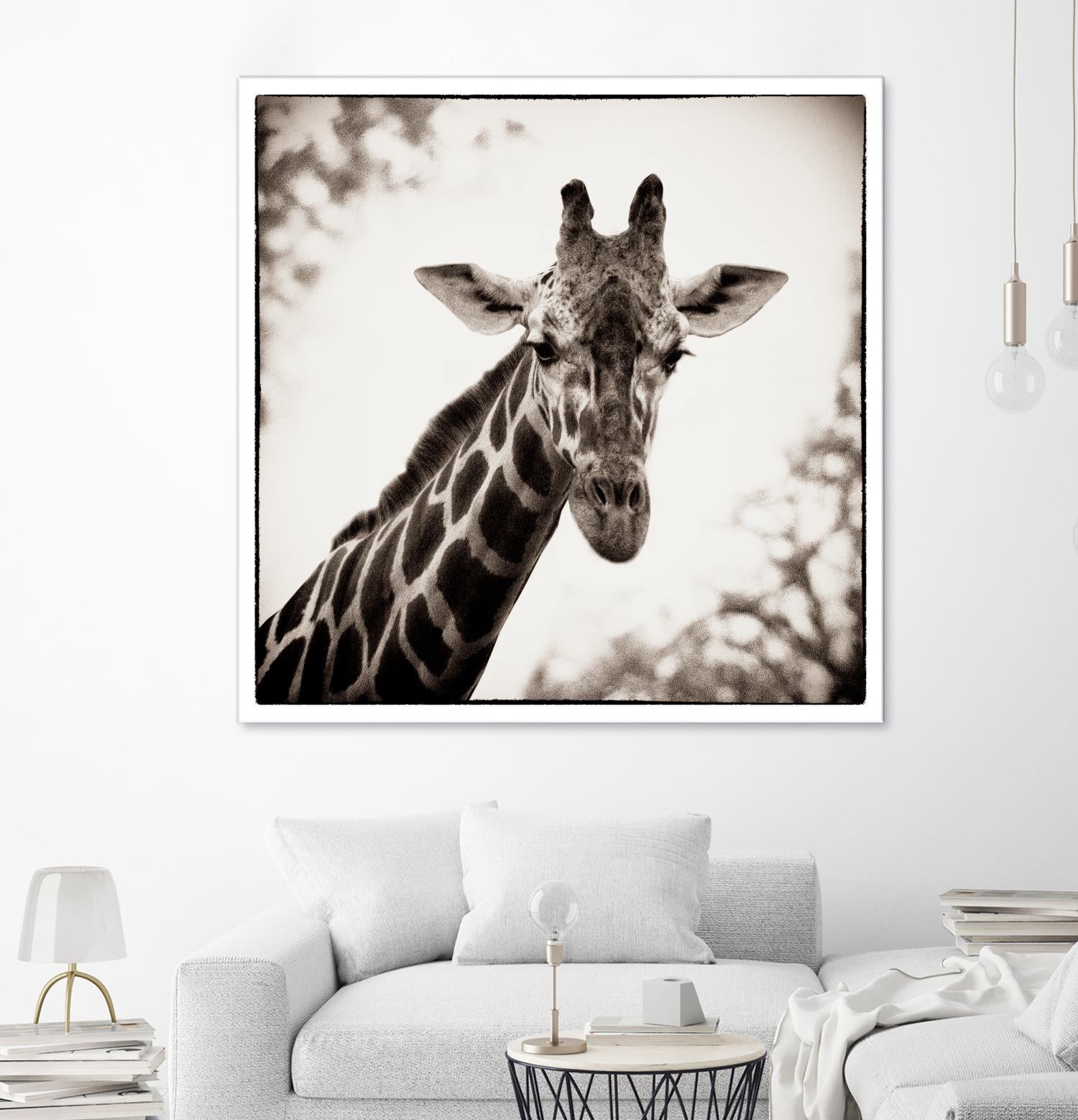 Giraffe I by Debra Van Swearingen on GIANT ART - grey animals