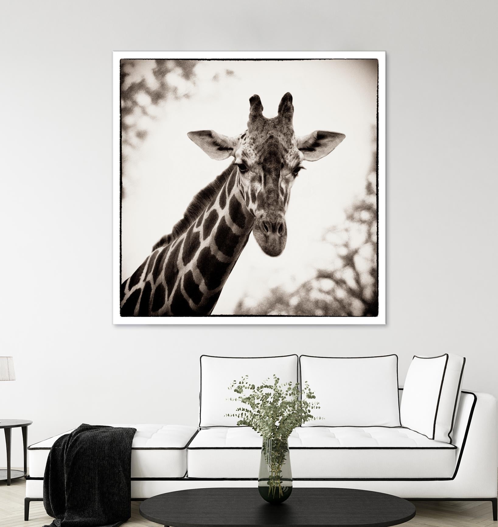 Giraffe I by Debra Van Swearingen on GIANT ART - grey animals