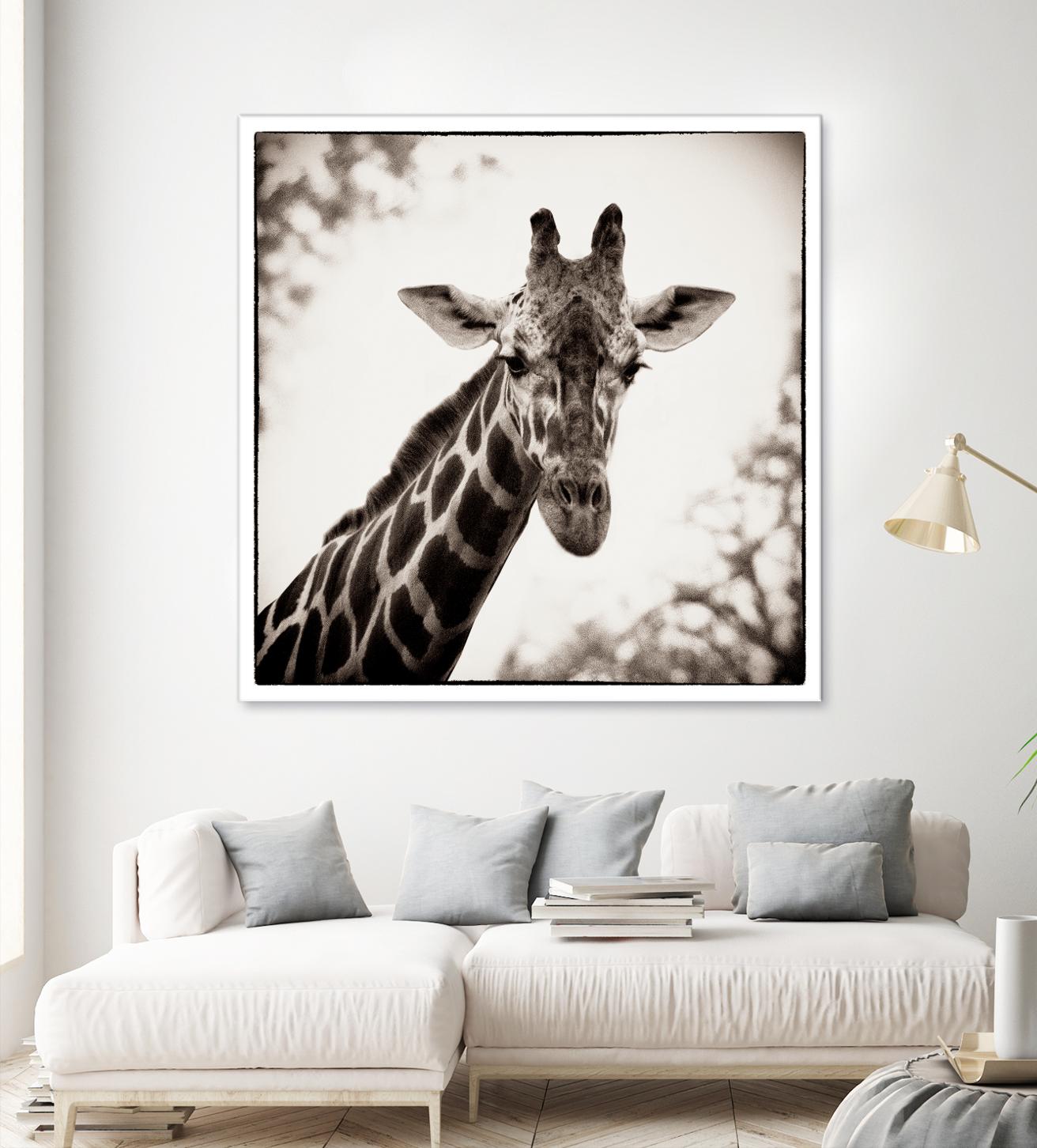 Giraffe I by Debra Van Swearingen on GIANT ART - grey animals