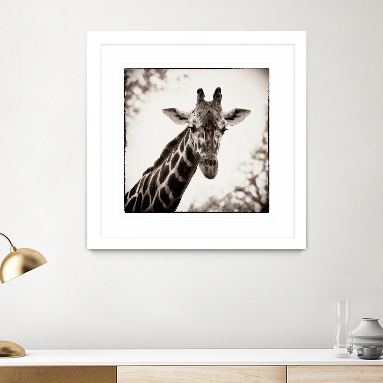 Giraffe I by Debra Van Swearingen on GIANT ART - grey animals