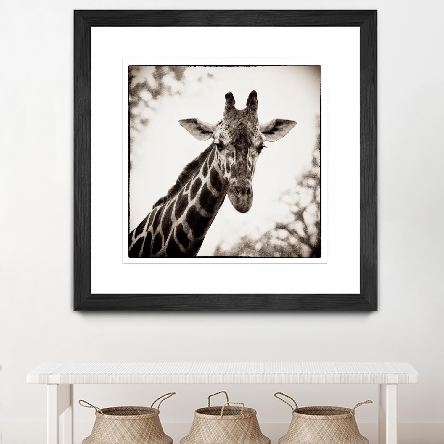Giraffe I by Debra Van Swearingen on GIANT ART - grey animals