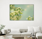 Spring Beauty I by Sue Schlabach on GIANT ART - white floral