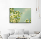 Spring Beauty I by Sue Schlabach on GIANT ART - white floral