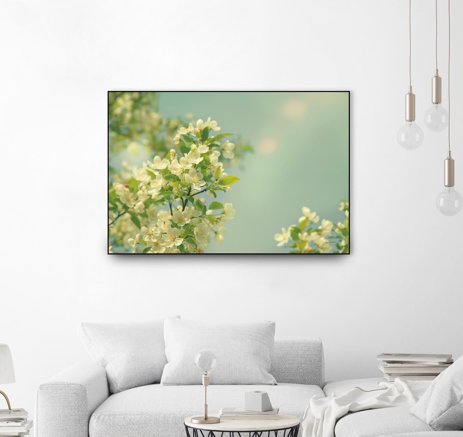 Spring Beauty I by Sue Schlabach on GIANT ART - white floral
