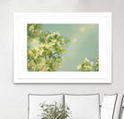 Spring Beauty I by Sue Schlabach on GIANT ART - white floral
