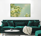 Spring Beauty I by Sue Schlabach on GIANT ART - white floral