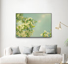 Spring Beauty I by Sue Schlabach on GIANT ART - white floral