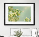 Spring Beauty I by Sue Schlabach on GIANT ART - white floral