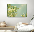 Spring Beauty I by Sue Schlabach on GIANT ART - white floral