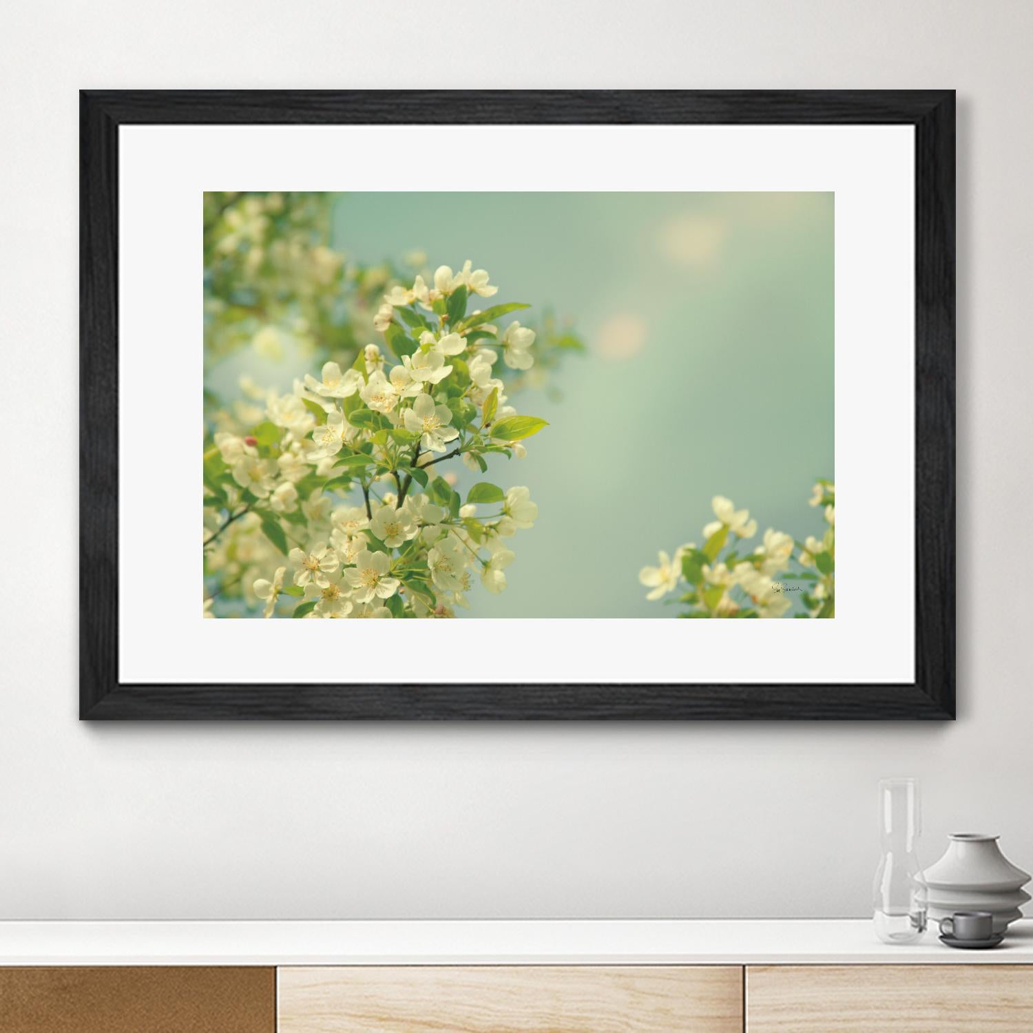 Spring Beauty I by Sue Schlabach on GIANT ART - white floral
