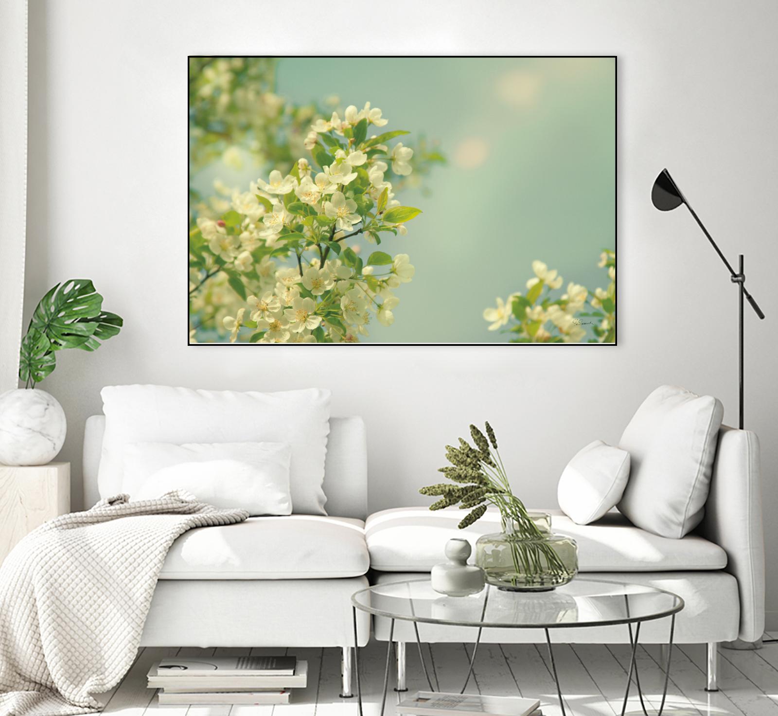 Spring Beauty I by Sue Schlabach on GIANT ART - white floral