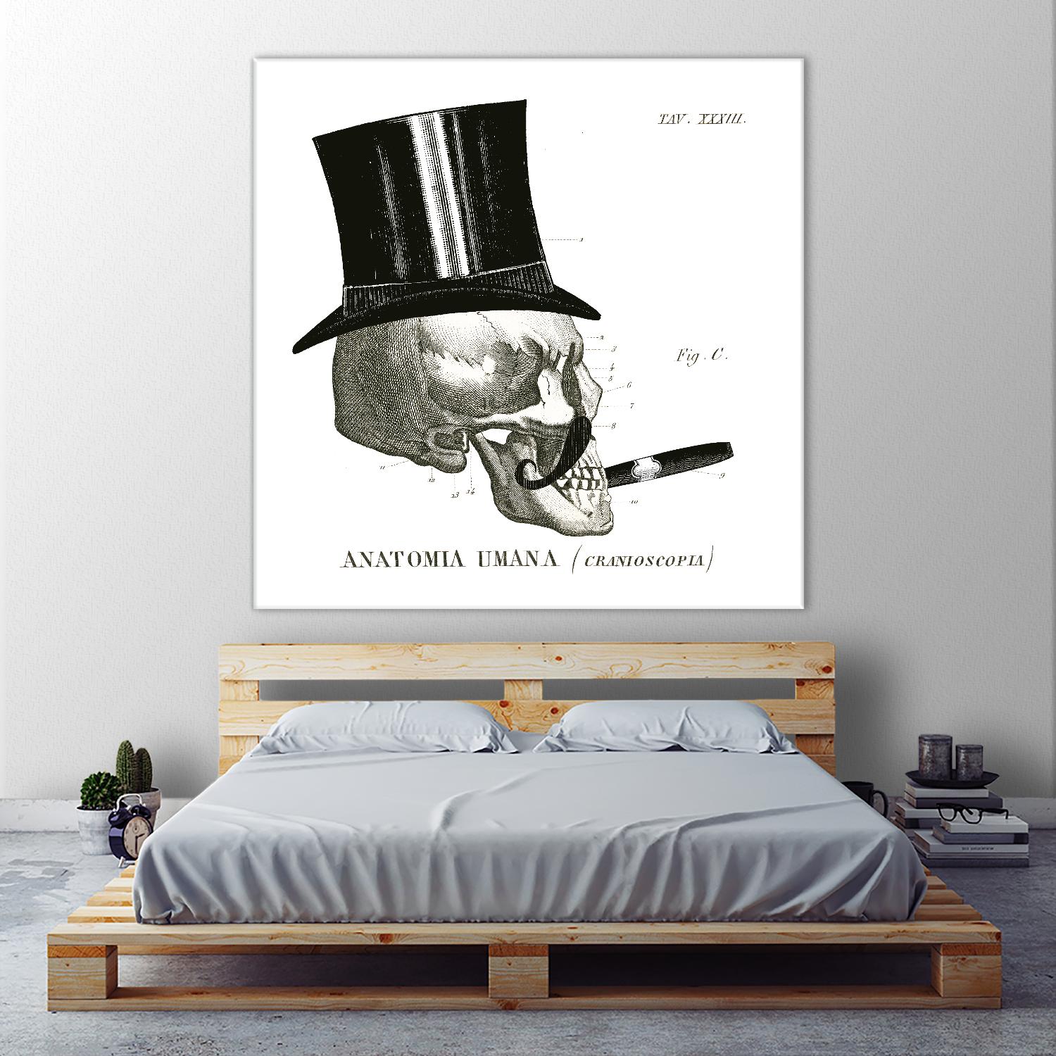 Dandy Bones III by Sue Schlabach on GIANT ART - white vintage