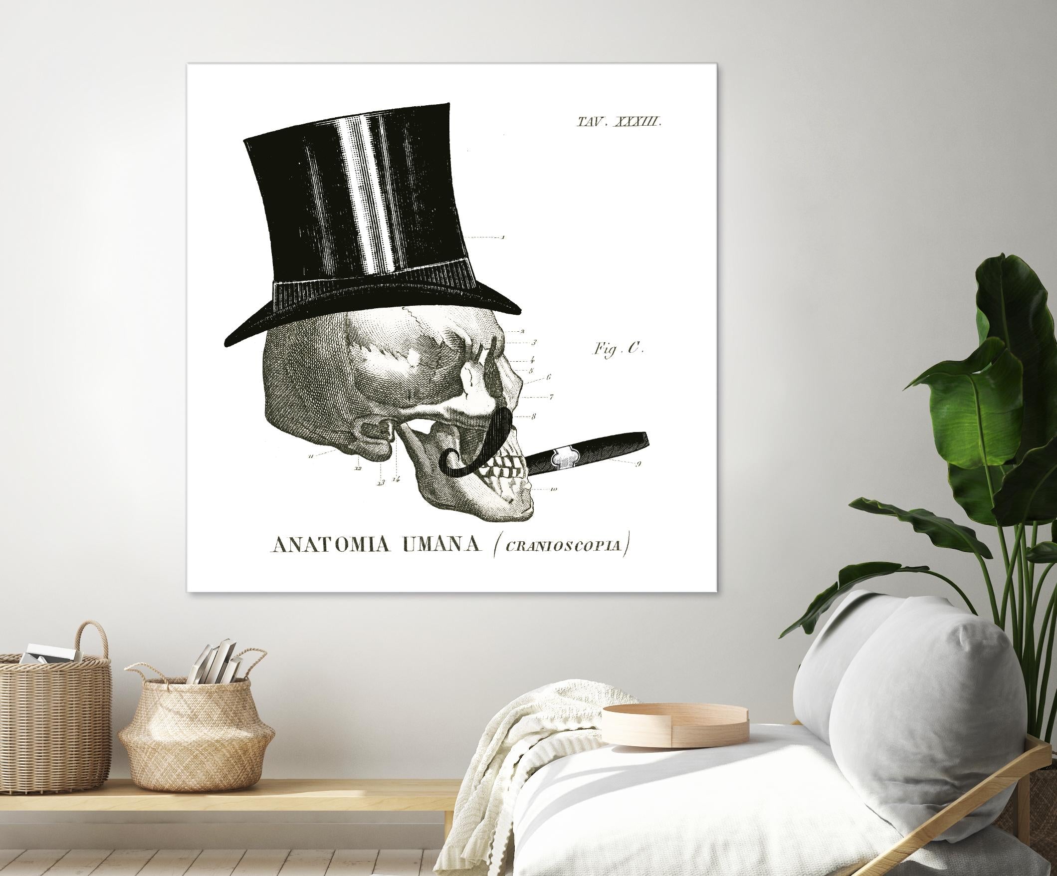 Dandy Bones III by Sue Schlabach on GIANT ART - white vintage