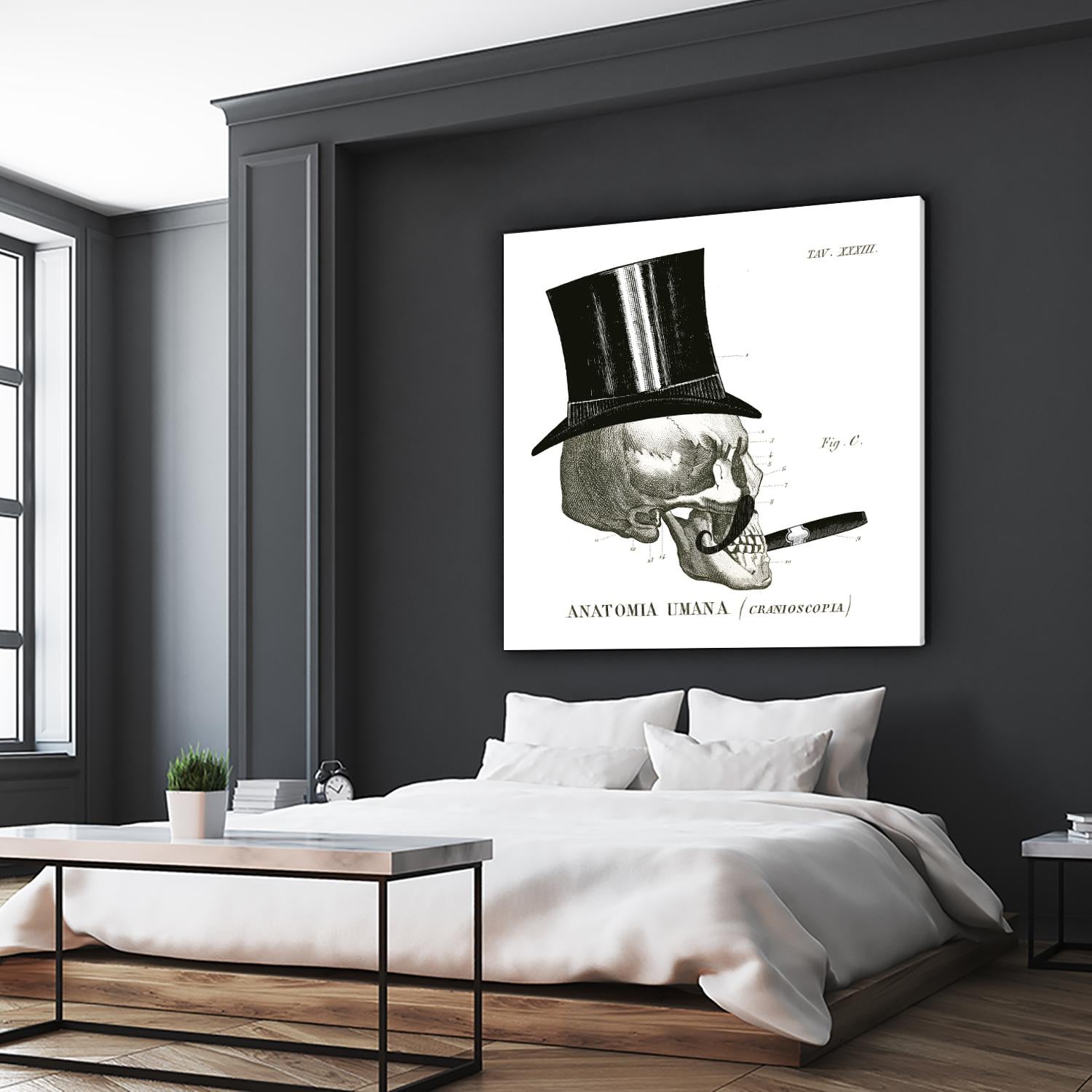 Dandy Bones III by Sue Schlabach on GIANT ART - white vintage