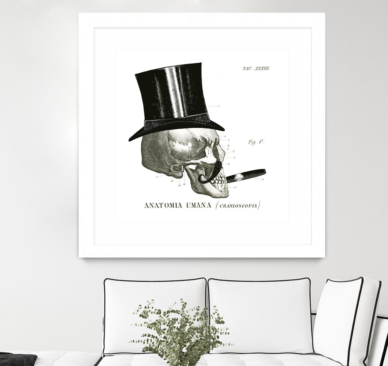 Dandy Bones III by Sue Schlabach on GIANT ART - white vintage