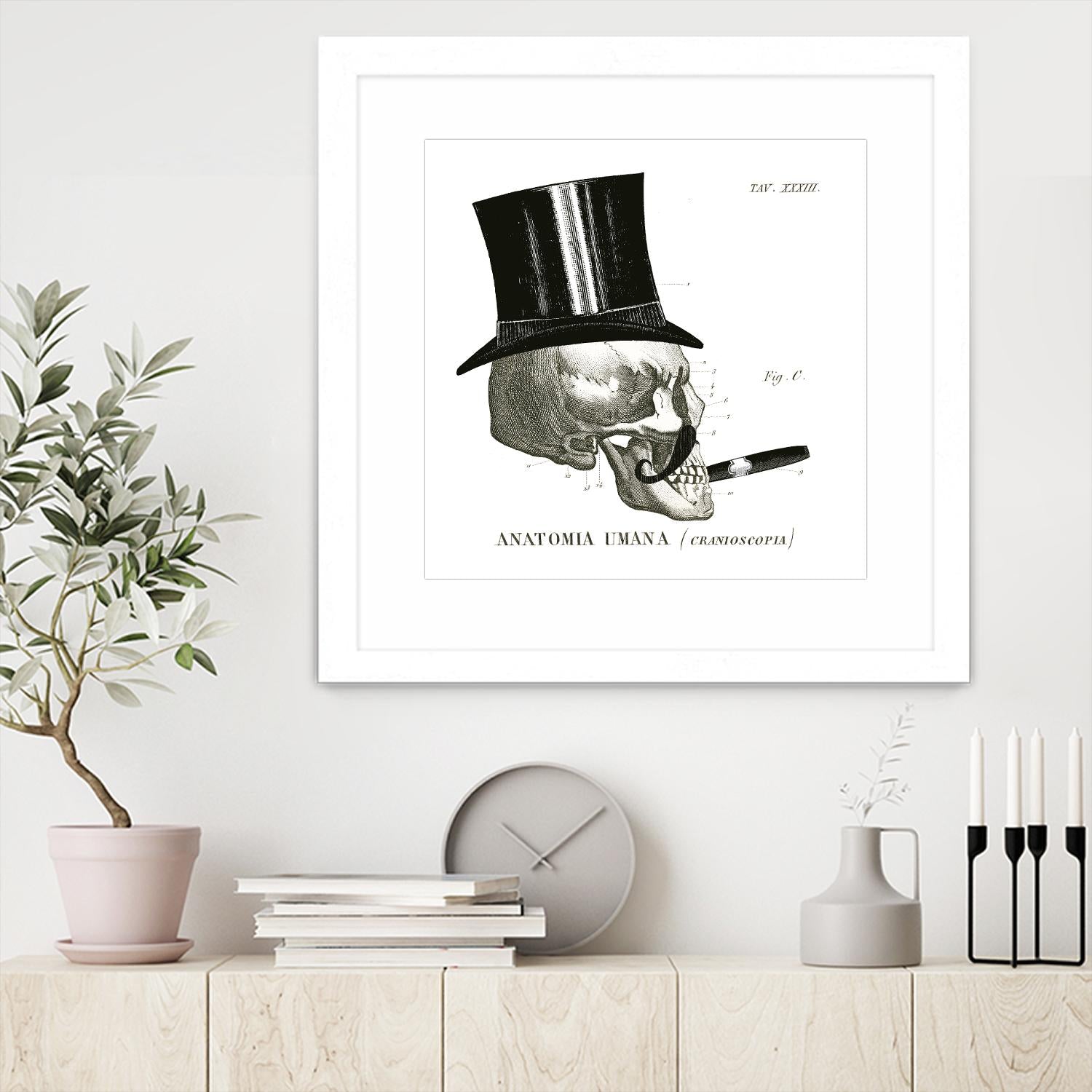 Dandy Bones III by Sue Schlabach on GIANT ART - white vintage