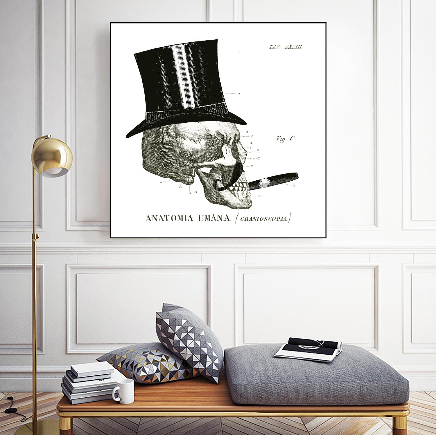 Dandy Bones III by Sue Schlabach on GIANT ART - white vintage