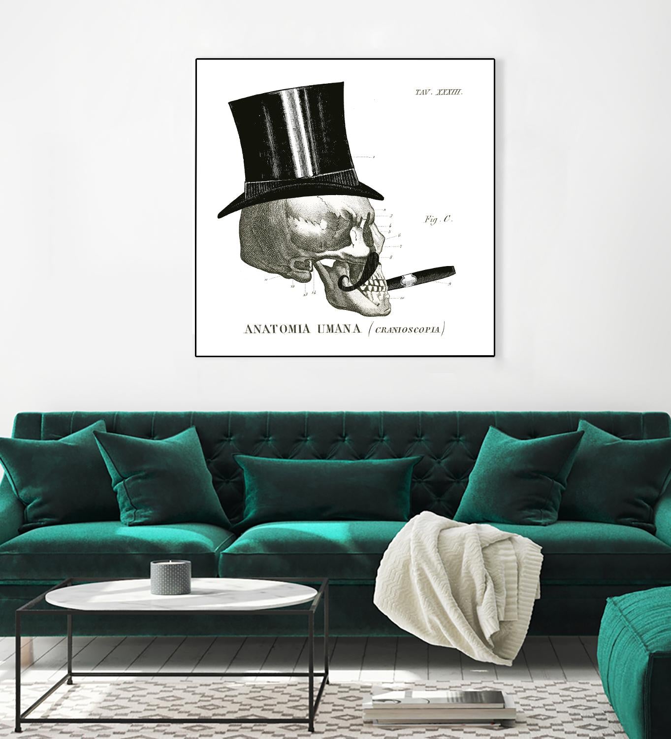 Dandy Bones III by Sue Schlabach on GIANT ART - white vintage