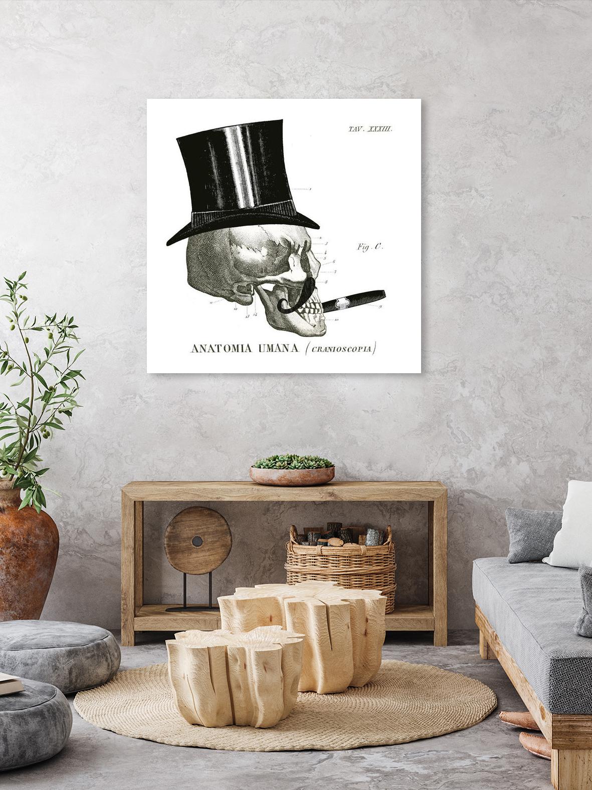 Dandy Bones III by Sue Schlabach on GIANT ART - white vintage