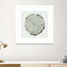 Woodland Years II by Sue Schlabach on GIANT ART - beige trees