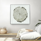 Woodland Years II by Sue Schlabach on GIANT ART - beige trees