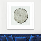 Woodland Years II by Sue Schlabach on GIANT ART - beige trees