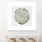 Woodland Years II by Sue Schlabach on GIANT ART - beige trees