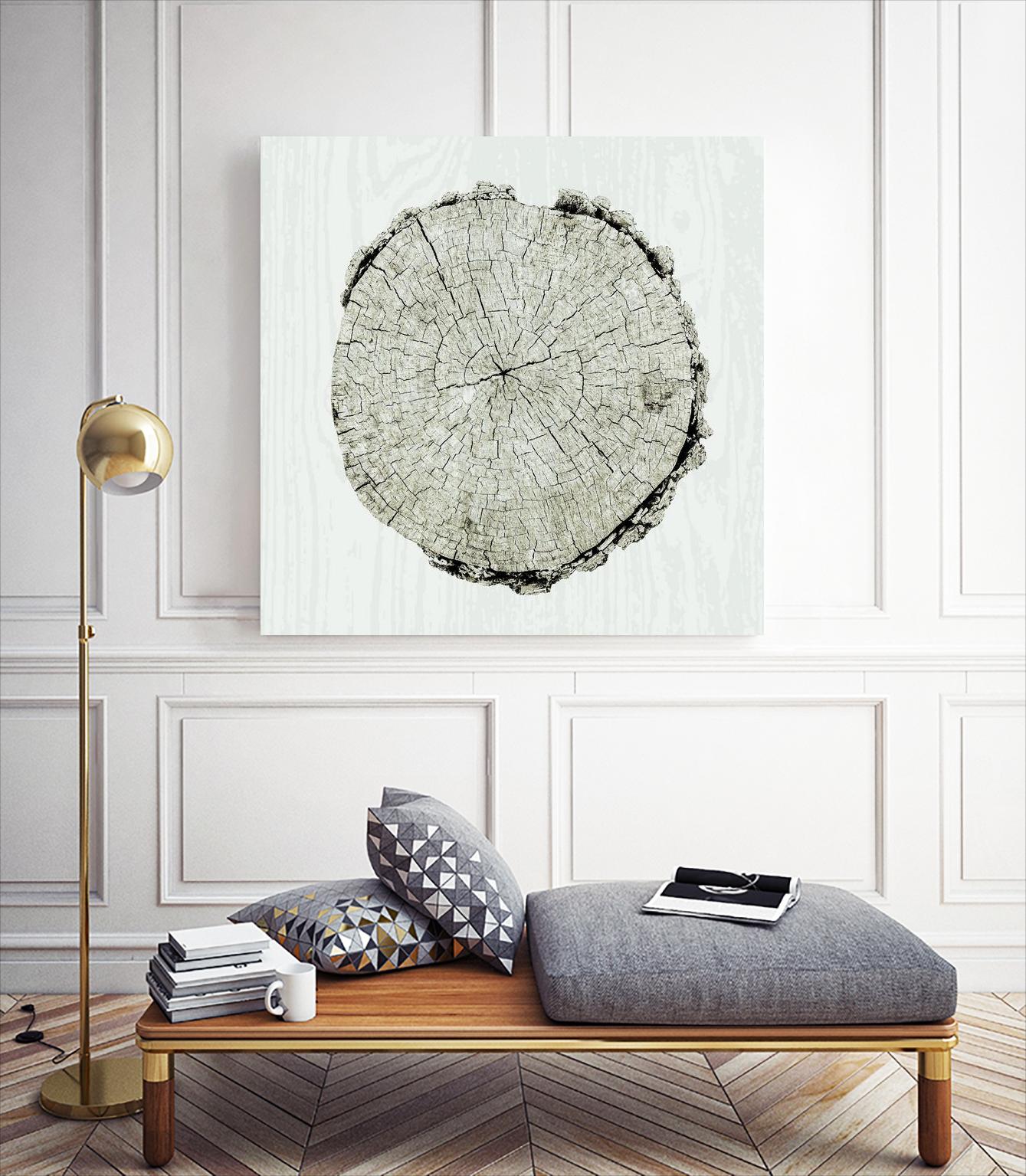 Woodland Years II by Sue Schlabach on GIANT ART - beige trees