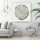 Woodland Years II by Sue Schlabach on GIANT ART - beige trees