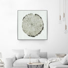 Woodland Years II by Sue Schlabach on GIANT ART - beige trees